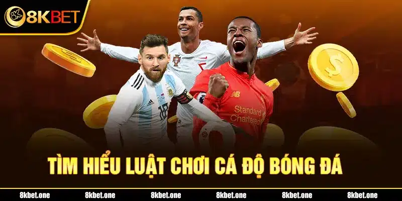 Tìm hiểu luật chơi cá độ bóng đá