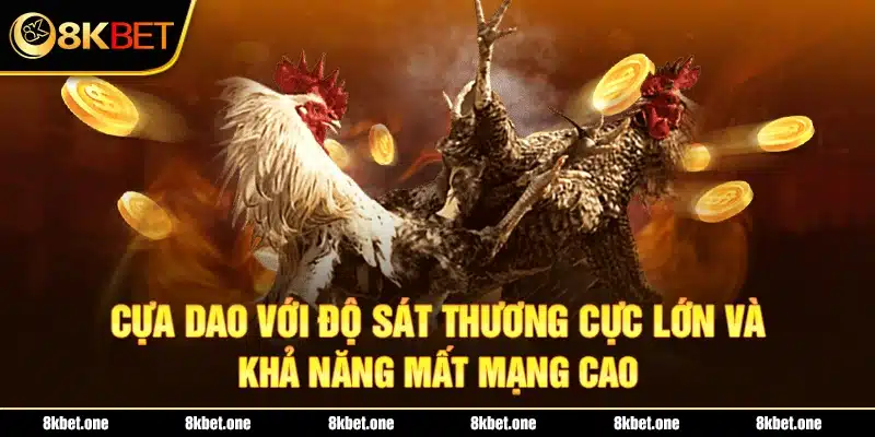 Cựa dao với độ sát thương cực lớn và khả năng mất mạng cao