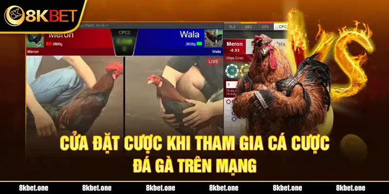 Cửa đặt cược khi tham gia cá cược đá gà trên mạng