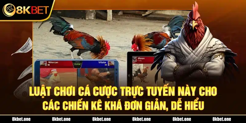 Luật chơi cá cược trực tuyến này cho các chiến kê khá đơn giản, dễ hiểu