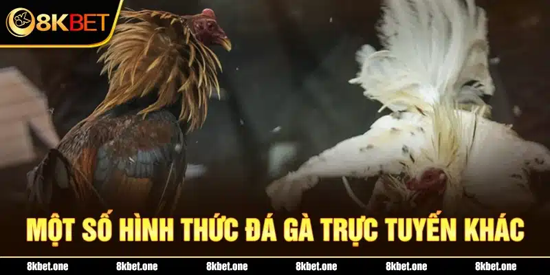 Một số hình thức đá gà trực tuyến khác